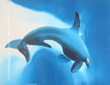 Orca Watercolor 1995 31x37 Watercolor - Robert Wyland