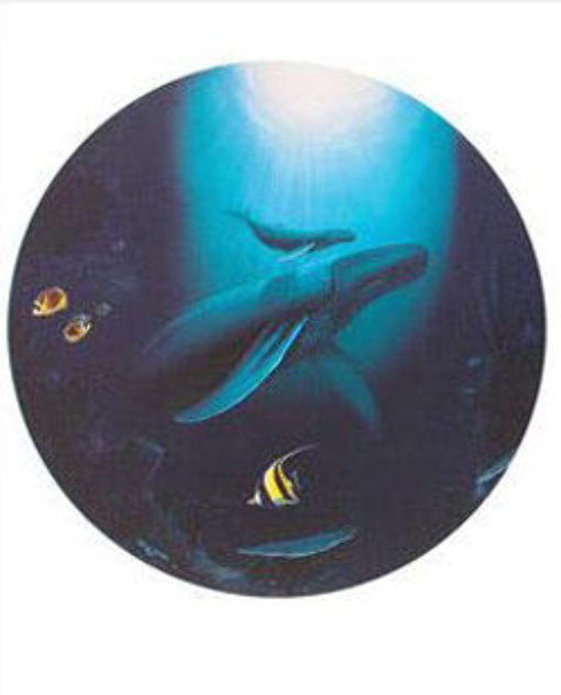 Innocent Age: Dolphin Serenity Limited Edition Print by Robert Wyland