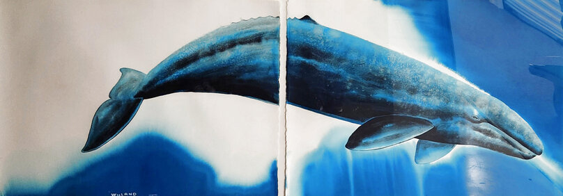 Robert Wyland Original Paintings, Watercolors, Drawings And Works