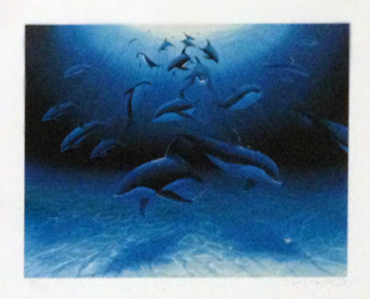 Embraced by the Sea AP 2000 Limited Edition Print by Robert Wyland Embraced by the Sea AP 2000 Limited Edition Print by Robert Wyland