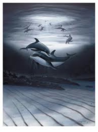 Dolphin Affection Limited Edition Print by Robert Wyland Dolphin Affection Limited Edition Print by Robert Wyland