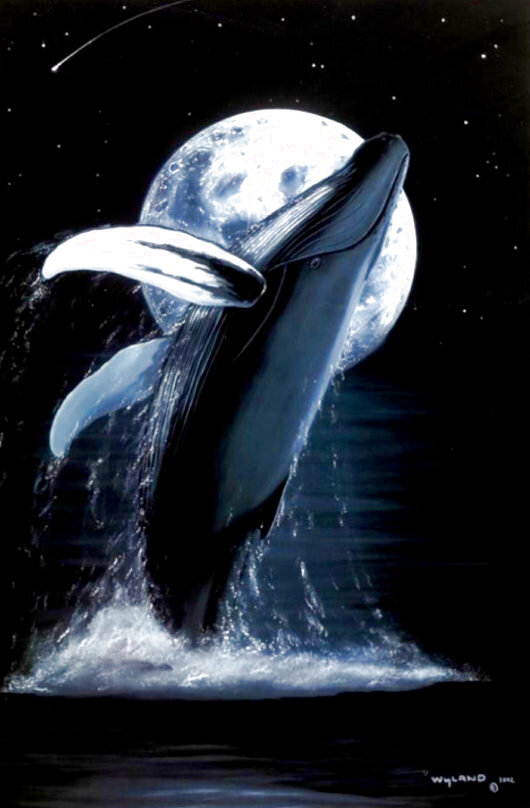 Robert Wyland Limited Edition Prints For Sale, Wanted