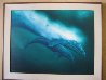 California Grey Whale With Calf 1982 36x46 Original Painting by Robert Wyland - 1 California Grey Whale With Calf 1982 36x46 Original Painting by Robert Wyland - 1