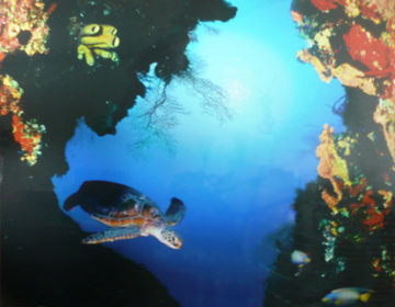 Ocean Portal Limited Edition Print - Robert Wyland Ocean Portal Limited Edition Print - Robert Wyland