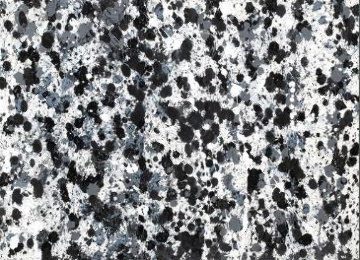 Black And White 6 Watercolor 2008 Watercolor - Robert Wyland Black And White 6 Watercolor 2008 Watercolor - Robert Wyland