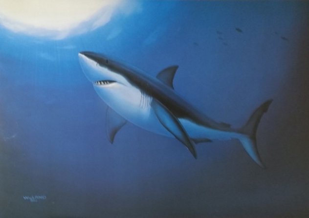 Great White 1992 Limited Edition Print by Robert Wyland