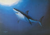 Great White 1992 Limited Edition Print by Robert Wyland - 0