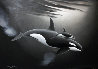 Orca and Calf 1990 27x37 Original Painting by Robert Wyland - 0