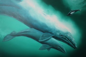 California Grey Whale and Calf 1983 31x41 Original Painting - Robert Wyland California Grey Whale and Calf 1983 31x41 Original Painting - Robert Wyland