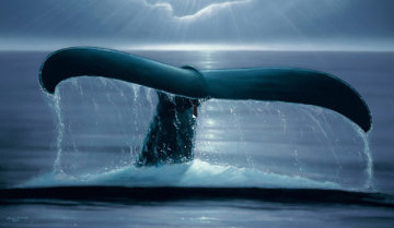 Whale Sighting AP 2001 33x47 Limited Edition Print - Robert Wyland Whale Sighting AP 2001 33x47 Limited Edition Print - Robert Wyland