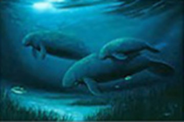 Endangered Manatees 1999 Limited Edition Print - Robert Wyland Endangered Manatees 1999 Limited Edition Print - Robert Wyland