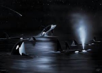 Orca's Starry Night 2004 53x42 Limited Edition Print - Robert Wyland Orca's Starry Night 2004 53x42 Limited Edition Print - Robert Wyland