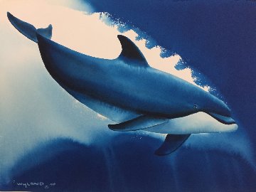 Atlantic Bullnose Watercolor 1999 14x20 Watercolor by Robert Wyland