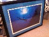 Dolphin Vision  1993 Limited Edition Print by Robert Wyland - 1