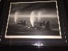 Orca Mist 1990 Limited Edition Print by Robert Wyland - 1