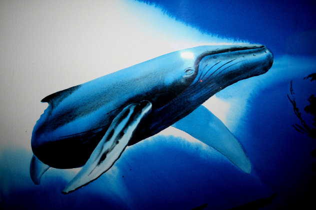 Friendly Visit Watercolor 1992 23x18 - Whale Watercolor by Robert Wyland