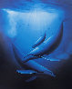 Art of Saving Whales 1989 Limited Edition Print by Robert Wyland - 0