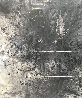 Transient - Huge Drawing on Rice Paper -  2010 48x60 Drawing by Hiro Yamagata - 0