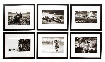 Gary Player African Wildlife Collection 2012 - Suite of 6 Photography - David Yarrow Gary Player African Wildlife Collection 2012 - Suite of 6 Photography - David Yarrow