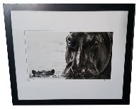 No Nearer AP 2014 Photography by David Yarrow - 1 No Nearer AP 2014 Photography by David Yarrow - 1