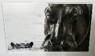 No Nearer AP 2014 Photography by David Yarrow - 2 No Nearer AP 2014 Photography by David Yarrow - 2