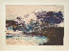 Spectral Vision EA 1970 Early Limited Edition Print by Zao Wou-Ki - 1