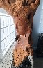 Figurative Abstract Drift Wood Sculpture 1997 47 in - Huge Sculpture by Dale Zarrella - 3