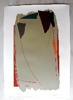Grey Sweep I 1979 - Huge Limited Edition Print by Larry Zox - 2