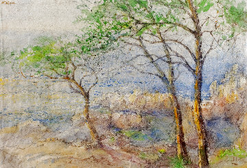 Pine Trees At Son Beltran Watercolor 38x51 Super Huge Watercolor - Bruno Zupan Pine Trees At Son Beltran Watercolor 38x51 Super Huge Watercolor - Bruno Zupan